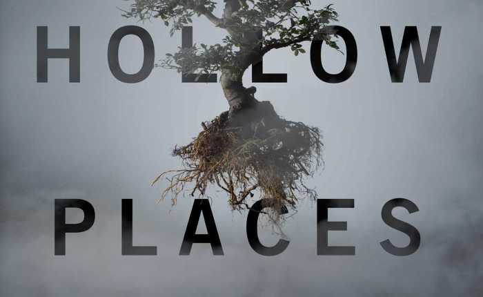 The Hollow Places by T. Kingfisher